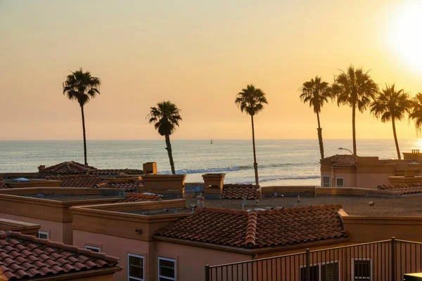 Silhoutte of the palm tree against the sunset at the beach of Oceanside, California — стокове фото