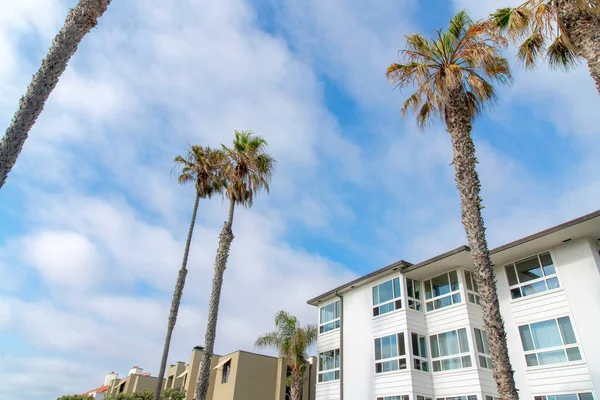 Palme fuori dagli edifici bassi di La Jolla, California — Foto Stock