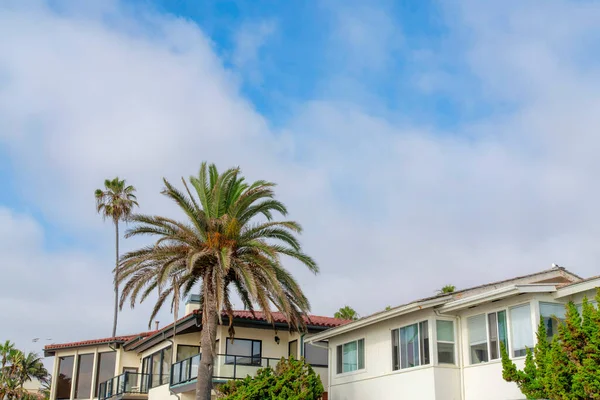 Φοίνικες έξω από τα σπίτια κατοικιών στο La Jolla, Καλιφόρνια — Φωτογραφία Αρχείου