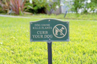 La Jolla, California 'da bir çimenlikte köpek tabelanız var.