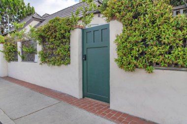 La Jolla, Kaliforniya 'da çit duvarında bitkiler olan yeşil bir evin kapısı.