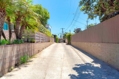 La Jolla, Kaliforniya 'da bir yerleşim alanının ortasında somut bir yol var.