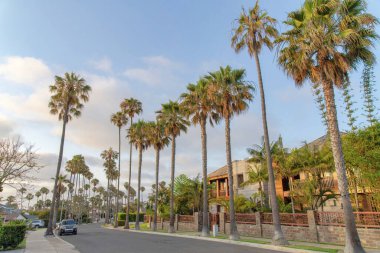 Yol boyunca palmiye ağaçları olan Kaliforniya, La Jolla 'da ikamet yeri.