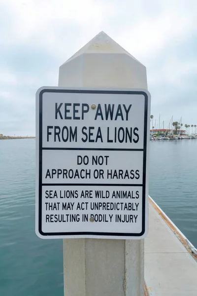 Manténgase alejado de leones marinos señalización en un poste en Oceanside, California — Foto de Stock