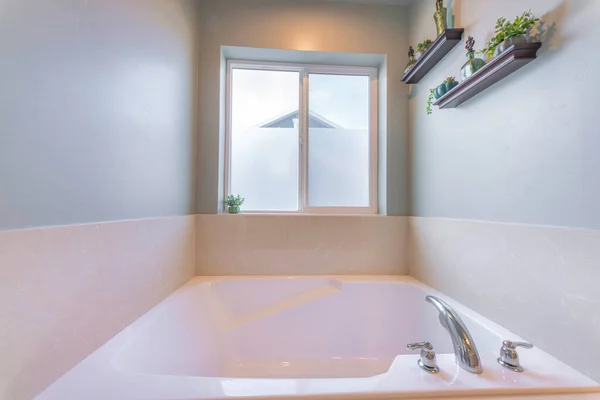 Interior del baño con bañera cerca de la ventana con suculenta — Foto de Stock