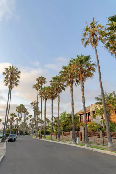 Strada asfaltata in una zona residenziale con palme a La Jolla, California — Foto Stock