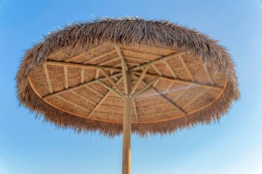 San Clemente, Orange County, Kaliforniya 'da temiz gökyüzü arka planına karşı Nipa şemsiyesi