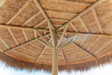 San Clemente, Orange County, California 'daki Nipa şemsiyesinin altında