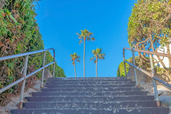 Metal parmaklıklı merdiven ve San Clemente, Kaliforniya 'da üç palmiye ağacı manzaralı. — Stok fotoğraf