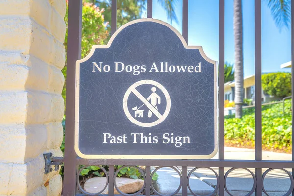 Підпис на поручнях без собак дозволений у Сан-Маркосі (Сан-Дієго, Каліфорнія). — стокове фото