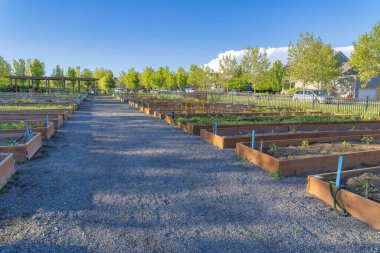 Utah, Güney Ürdün 'de Daybreak' teki halk bahçesi.