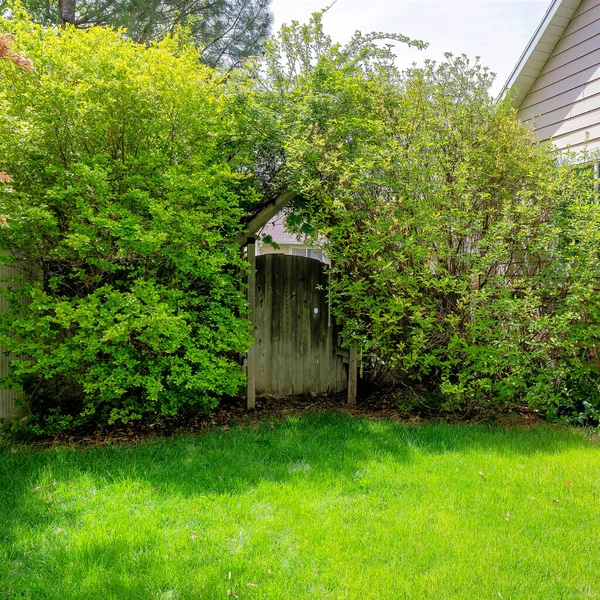 Квадратный боковой двор дома с зелеными растениями и деревянными воротами — стоковое фото