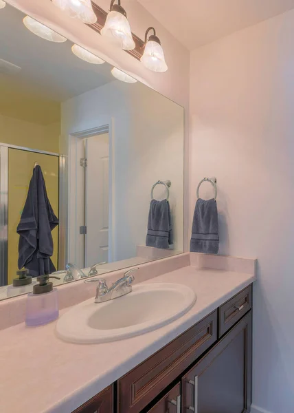 Vertical Salle de bain intérieure avec porte blanche d'une salle de toilettes à l'intérieur — Photo