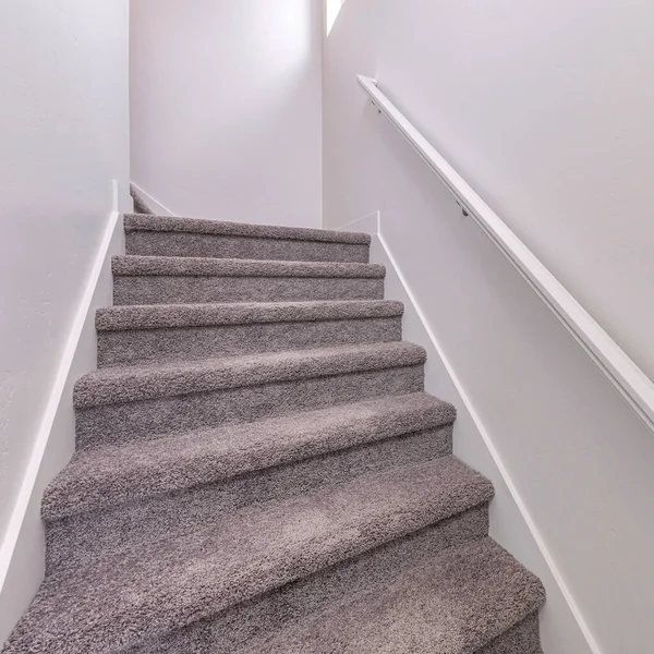 Escaleras alfombradas cuadradas con pasamanos blancos montados en la pared arriba —  Fotos de Stock