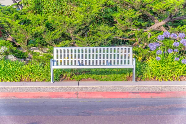 La Jolla, San Diego, California 'daki ağaçlara ve bitkilere karşı kaldırımda metal bir bank. — Stok fotoğraf