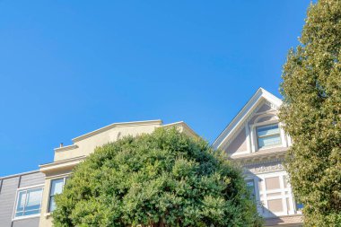 San Francisco, Kaliforniya 'daki konutların önünde yemyeşil yaprakları olan ağaçlar. Ağaçların arkasında bej rengi dış görünüşü açık mavi gökyüzüne karşı alçak açılı evler var..