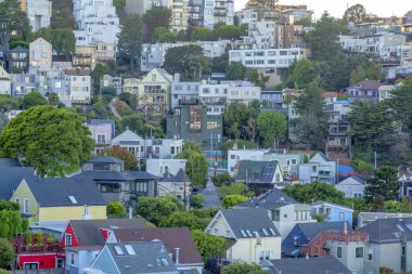 San Francisco, California 'da ağaçların olduğu tepedeki binalar. Farklı yerleşim birimlerine sahip mahalleler..
