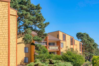 San Francisco, Kaliforniya 'da sarı kiremitli duvar kaplamalı kompleks evler. Çevre dışında farklı çatı yapıları ve ağaçlar var..