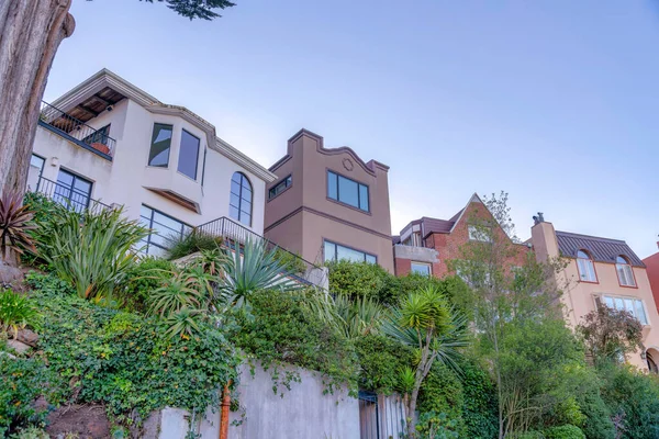 Вид Домов Низким Углом Пригороде Сан Франциско Калифорния Растения Передней — стоковое фото