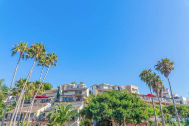 San Clemente, California 'daki konutların önündeki uzun ağaçlar. Açık mavi gökyüzüne karşı balkonları olan binaların önünde yüksek palmiye ağaçları var..