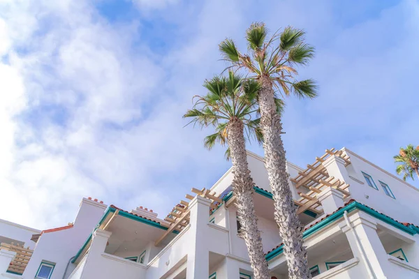 San Clemente, California 'da bir apartmanın önünde iki uzun palmiye ağacı. Arka planda gökyüzüne karşı mavi oluğu ve balkonları olan bir apartmanın alçak açılı görüntüsü.
