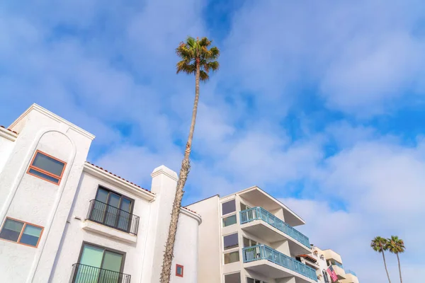 Palme Alte Nel Quartiere San Clemente California Una Residenza Sinistra — Foto Stock