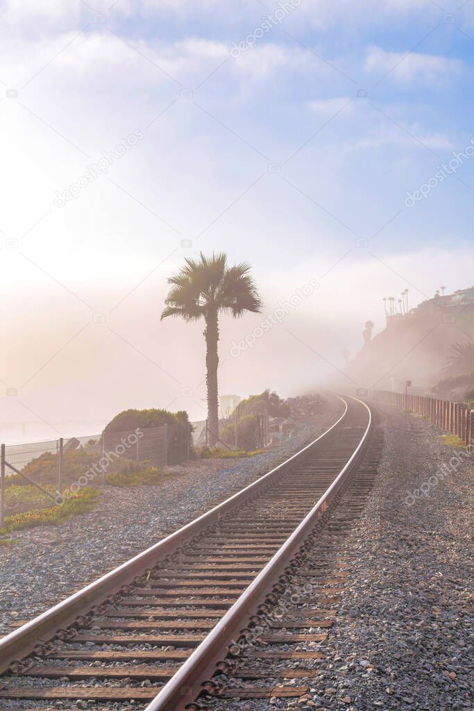 Train tracks on a foggy beach of San Clemente, California. Railway with a view of one palm tree on the left and silhoutte of a slope on the right.