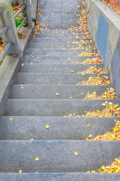 Escalera Hormigón Exterior Una Vista Ángulo Alto San Francisco California — Foto de Stock