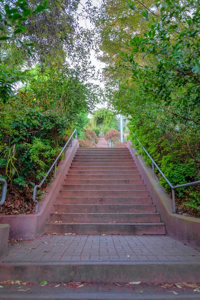 Escadaria Uma Encosta Meio Árvores Plantas San Francisco Califórnia Escadas — Fotografia de Stock