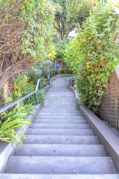 カリフォルニア州サンフランシスコの真ん中に着陸する2つの着陸とコンクリートのU字型の屋外階段 住宅の外の植物や木の近くの階段 — ストック写真