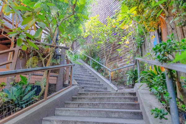 Подібні Відкриті Сходи Межами Житлових Будинків Сан Франциско Штат Каліфорнія — стокове фото