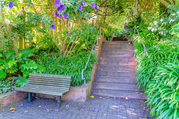 Деревянная Скамейка Возле Лестницы Открытом Саду Сан Франциско Калифорния Природный — стоковое фото