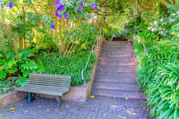 Dřevěná Lavička Schodiště Zahradním Parku San Franciscu Kalifornii Přírodní Park — Stock fotografie