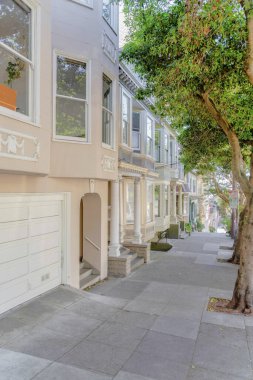 Kaliforniya 'nın San Francisco mahallesinde beton levhalar ve sütun ağaçlarıyla yan yürüyüş. Solunda süslemeleri ve garajı olan evler var..