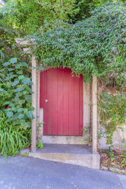 San Francisco, Kaliforniya 'da ön tarafında çardak çatılı ahşap kapı. Ağaç çatısı üzerinde yeşil bitkiler ve sarmaşıklar olan bir konutun girişi.