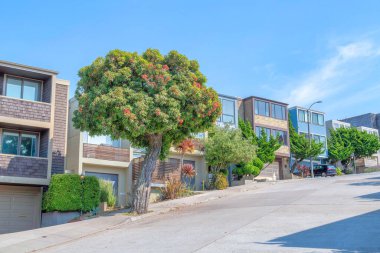San Francisco, California 'da beton kaldırımlı eğimli bir bölgede. Evlerin garaj kapısının önünde ağaçlar ve çalılar var. Düz çatılar gökyüzüne karşı..