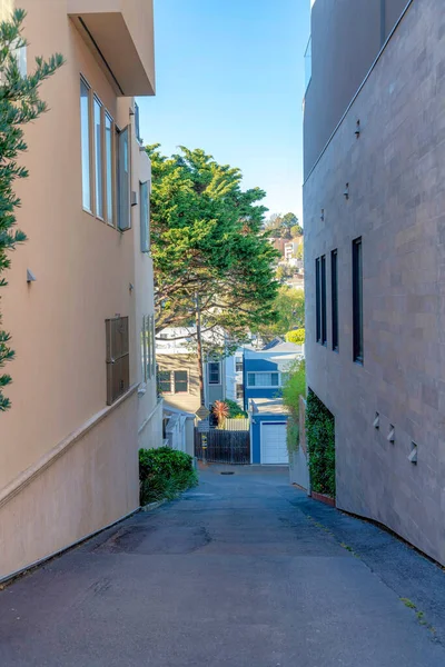 San Francisco, California 'da iki yüksek binanın ortasında yokuş aşağı beton kaldırım. Kapıya giden binalar arasındaki yol ve arkadaki bina ve ağaçların manzarası..