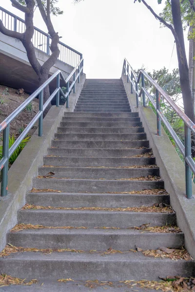 Outdoor staircase with concrete steps and metal bar railings at San Francisco, California. Stairs with landings on a slope with trees against the bright sky background.