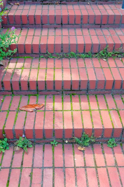 加州旧金山的室外红砖楼梯 用砖台阶和草在砖头上的高角度的楼梯视图 — 图库照片