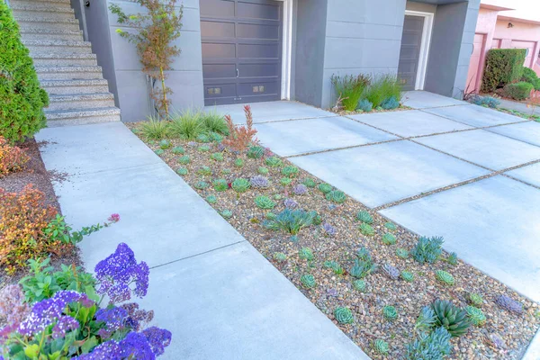 Succulent plants in the middle of concrete walkway entrance and driveway. Walkway leading to the stairs on the left beside the garage with gray exterior and concrete pavers at San Francisco, CA.