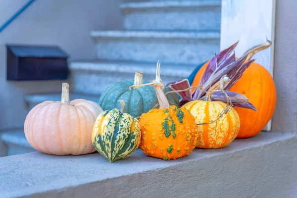 Variedad Calabazas Fuera Casa San Francisco California Decoraciones Calabaza Contra — Foto de Stock