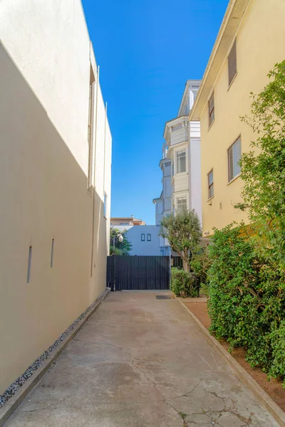 Concrete driveway leading to the black iron gate in San Francisco, California. Driveway near the beige building on the left across the plants on the right beside the light yellow building.