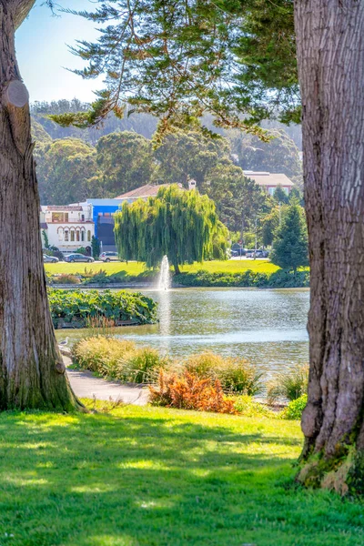 位于加州旧金山的公园 可以看到一个有喷泉的湖景 前面有一个绿色的草坪 还有两个树干 可以看到湖对面的建筑物 田野和停放的汽车 — 图库照片