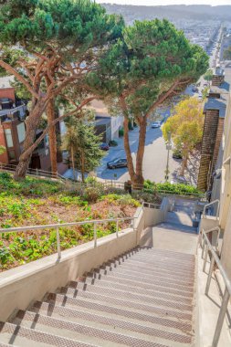 Kaliforniya 'da San Francisco manzaralı düz beton merdiven. Aşağıdaki araçlarla caddeye doğru ilerleyen çim ve ağaçlarla dolu bir yamaçtaki açık merdivenler..