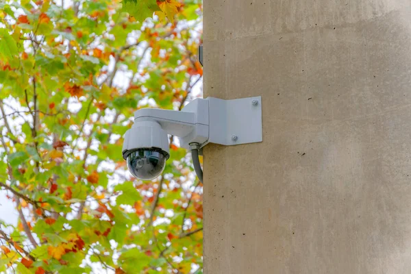 Wall-mounted 360 degrees outdoor security camera at Silicon Valley, San Jose, California. Security camera on a wall against the view of the fresh maple leaves at the background.