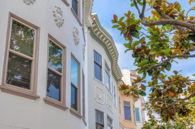 San Francisco, California 'da düşük açılı süslü süslemeleri olan kompleks konut binaları. Sağ tarafta, binaların önünde Victoria tarzı süslemeleri olan bir ağaç var..