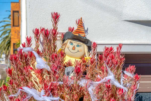 Plush witch doll at the back of a plant with red leaves and fake web decor at San Francisco, CA. Plant with holloween decorations against the white wall of the house.