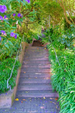 Entrance of a concrete outdoor staircase in a park at San Francisco, California. Stairway with trees and green plants on the side near the railings of the stairs.