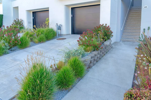 Concrete pathway near the driveway with plants on the side at San Francisco, California. Walkway leading to a concrete stairs on the right beside the two garage with black doors.