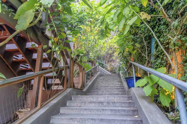 Staircase outside the houses at San Francisco in California. Staircase with concrete steps with a view of a entrance stairs on the left and trees on both sides along the railings.